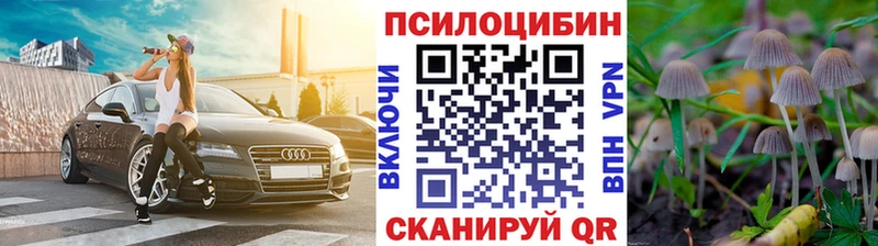 МЕГА сайт купить Соль-Илецк Галлюциногенные грибы Psilocybine cubensis